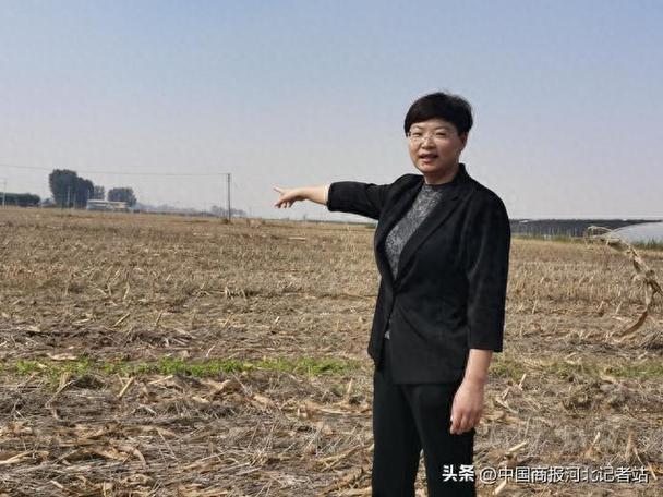 2019年,刘锐雪流转土地创建农业公司,进行小麦,玉米,谷物优种繁育和